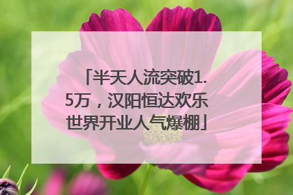 半天人流突破1.5万，汉阳恒达欢乐世界开业人气爆棚