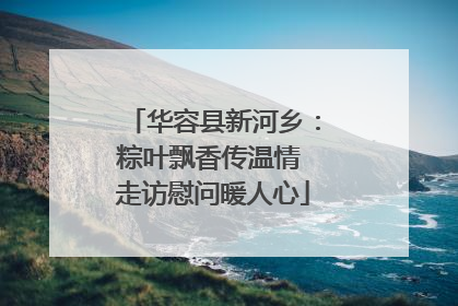 华容县新河乡：粽叶飘香传温情 走访慰问暖人心