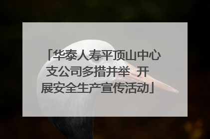 华泰人寿平顶山中心支公司多措并举  开展安全生产宣传活动