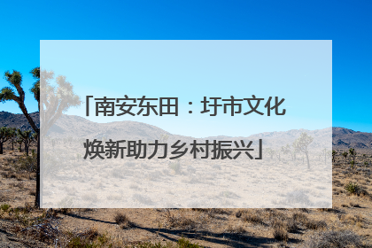 南安东田：圩市文化焕新助力乡村振兴