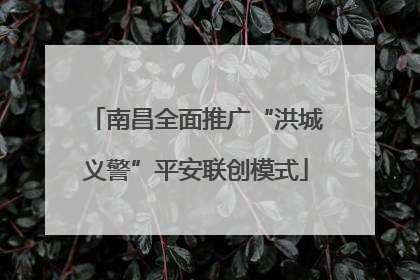 南昌全面推广“洪城义警”平安联创模式