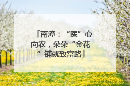 南漳：“医”心向农，朵朵“金花”铺就致富路