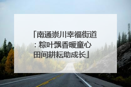 南通崇川幸福街道：粽叶飘香暖童心 田间耕耘助成长