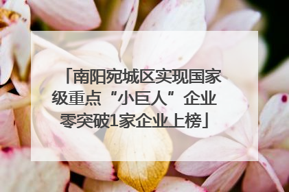 南阳宛城区实现国家级重点“小巨人”企业零突破1家企业上榜