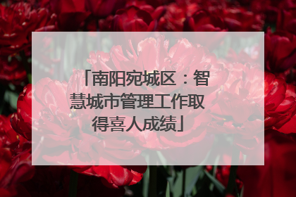 南阳宛城区：智慧城市管理工作取得喜人成绩