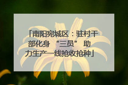 南阳宛城区：驻村干部化身 “三员” 助力生产一线抢收抢种
