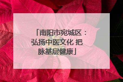 南阳市宛城区：弘扬中医文化 把脉基层健康