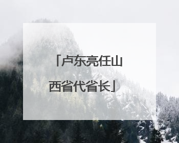 卢东亮任山西省代省长