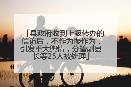 县政府收到上级转办的信访后，不作为慢作为，引发重大舆情，分管副县长等25人被处理
