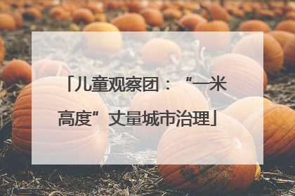 儿童观察团：“一米高度”丈量城市治理