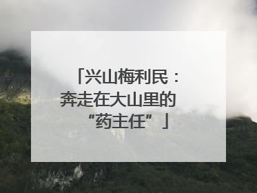 兴山梅利民：奔走在大山里的“药主任”