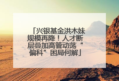 兴银基金洪木妹规模再降！人才断层叠加高管动荡“偏科”困局何解