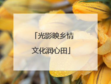 光影映乡情 文化润心田