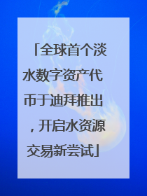 全球首个淡水数字资产代币于迪拜推出，开启水资源交易新尝试
