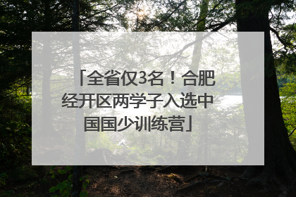 全省仅3名！合肥经开区两学子入选中国国少训练营
