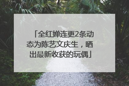全红婵连更2条动态为陈艺文庆生，晒出最新收获的玩偶
