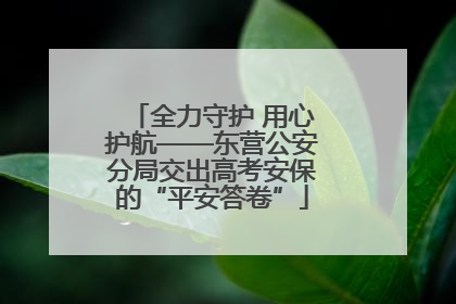 全力守护 用心护航——东营公安分局交出高考安保的“平安答卷”