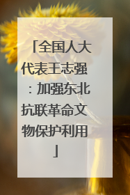 全国人大代表王志强：加强东北抗联革命文物保护利用