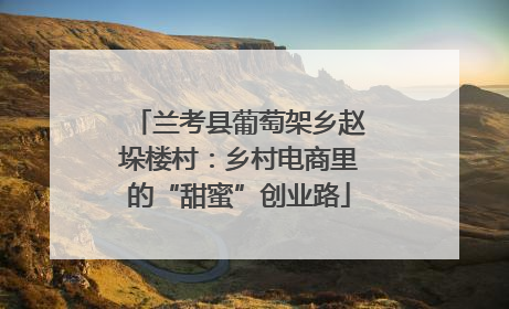 兰考县葡萄架乡赵垛楼村：乡村电商里的“甜蜜”创业路