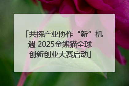 共探产业协作“新”机遇 2025金熊猫全球创新创业大赛启动