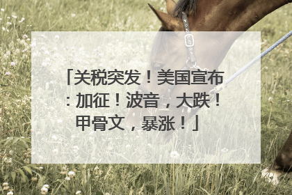 关税突发！美国宣布：加征！波音，大跌！甲骨文，暴涨！