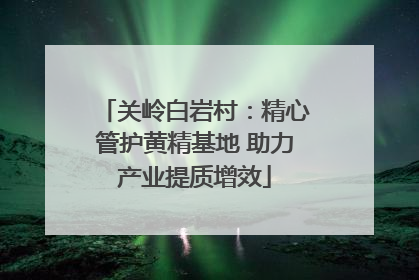 关岭白岩村：精心管护黄精基地 助力产业提质增效