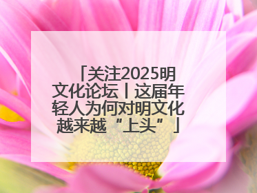 关注2025明文化论坛丨这届年轻人为何对明文化越来越“上头”