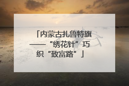 内蒙古扎鲁特旗——“绣花针”巧织“致富路”