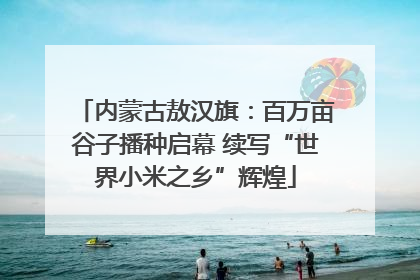 内蒙古敖汉旗：百万亩谷子播种启幕 续写“世界小米之乡”辉煌