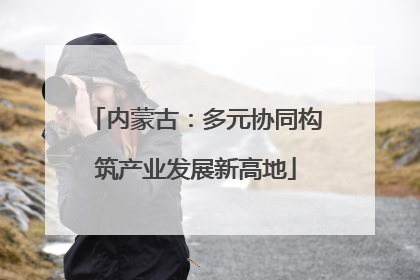 内蒙古：多元协同构筑产业发展新高地