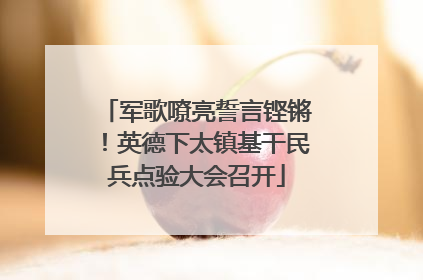 军歌嘹亮誓言铿锵！英德下太镇基干民兵点验大会召开