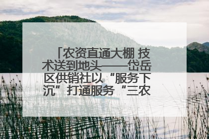 农资直通大棚 技术送到地头——岱岳区供销社以“服务下沉”打通服务“三农”最后一公里
