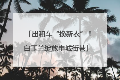 出租车“换新衣”！白玉兰绽放申城街巷