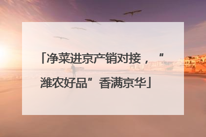 净菜进京产销对接，“潍农好品”香满京华