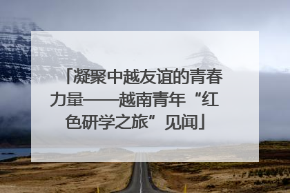 凝聚中越友谊的青春力量——越南青年“红色研学之旅”见闻
