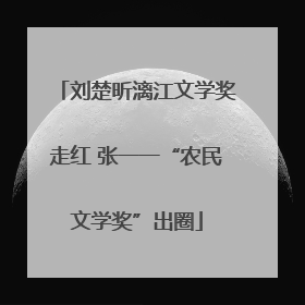 刘楚昕漓江文学奖走红 张一一“农民文学奖”出圈