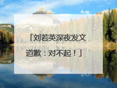 刘若英深夜发文道歉：对不起！