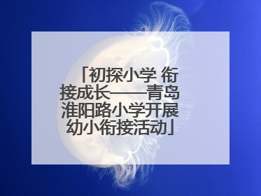 初探小学 衔接成长——青岛淮阳路小学开展幼小衔接活动