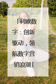 利欧数字：创新驱动，领航数字营销浪潮