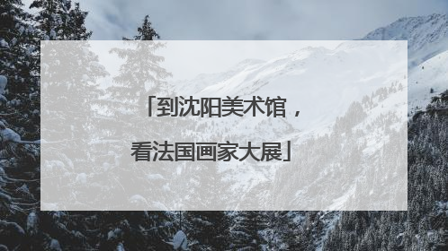 到沈阳美术馆，看法国画家大展