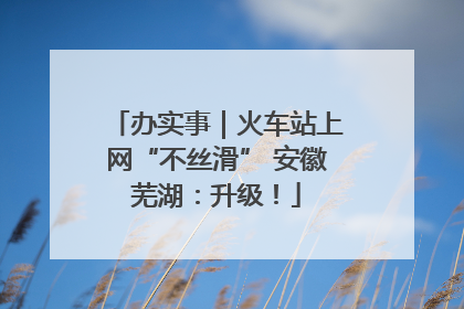 办实事｜火车站上网“不丝滑” 安徽芜湖：升级！