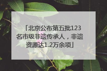 北京公布第五批123名市级非遗传承人，非遗资源达1.2万余项