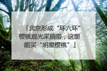 北京形成“环六环”樱桃观光采摘带，这里能买“明星樱桃”