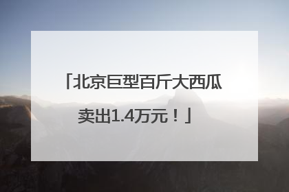 北京巨型百斤大西瓜卖出1.4万元！
