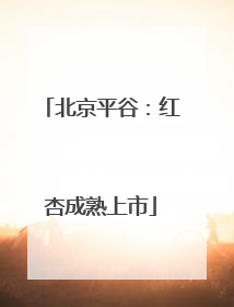 北京平谷：红杏成熟上市