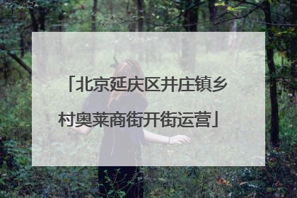 北京延庆区井庄镇乡村奥莱商街开街运营