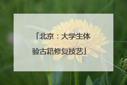 北京：大学生体验古籍修复技艺