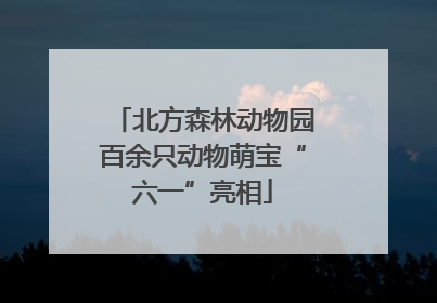 北方森林动物园百余只动物萌宝“六一”亮相