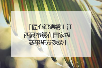 匠心织锦绣！江西夏布绣在国家级赛事斩获殊荣