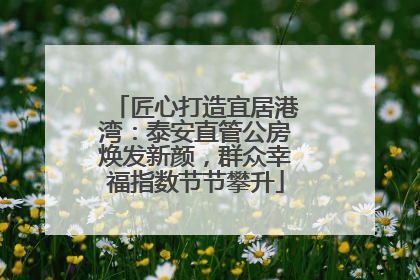 匠心打造宜居港湾：泰安直管公房焕发新颜，群众幸福指数节节攀升